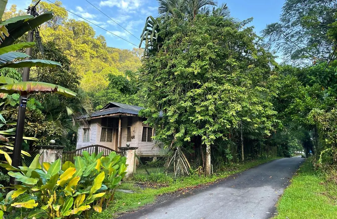 Purimai Jungle House In The Heart Of Kuala Lumpur-1