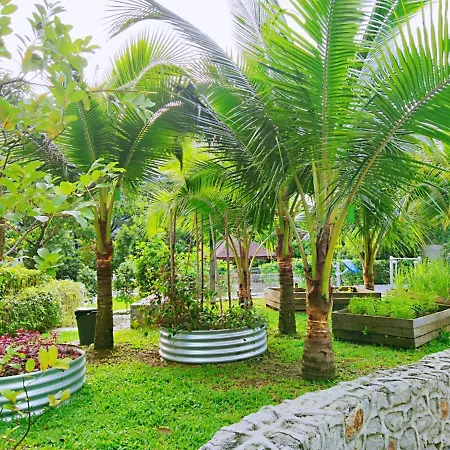 Maxine Suites-3