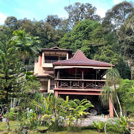 Purimai Jungle House In The Heart Of Kuala Lumpur-3
