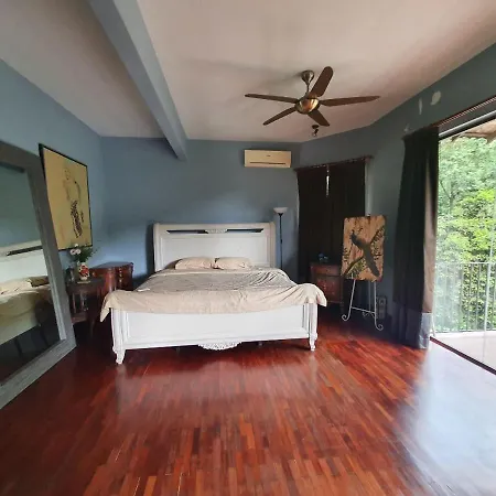 Purimai Jungle House In The Heart Of Kuala Lumpur-2